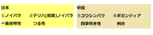 バラ原種1
