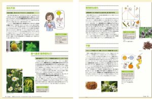 記事まとめ1