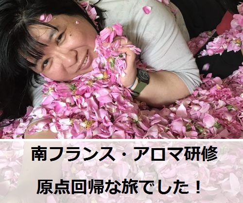 rosetour