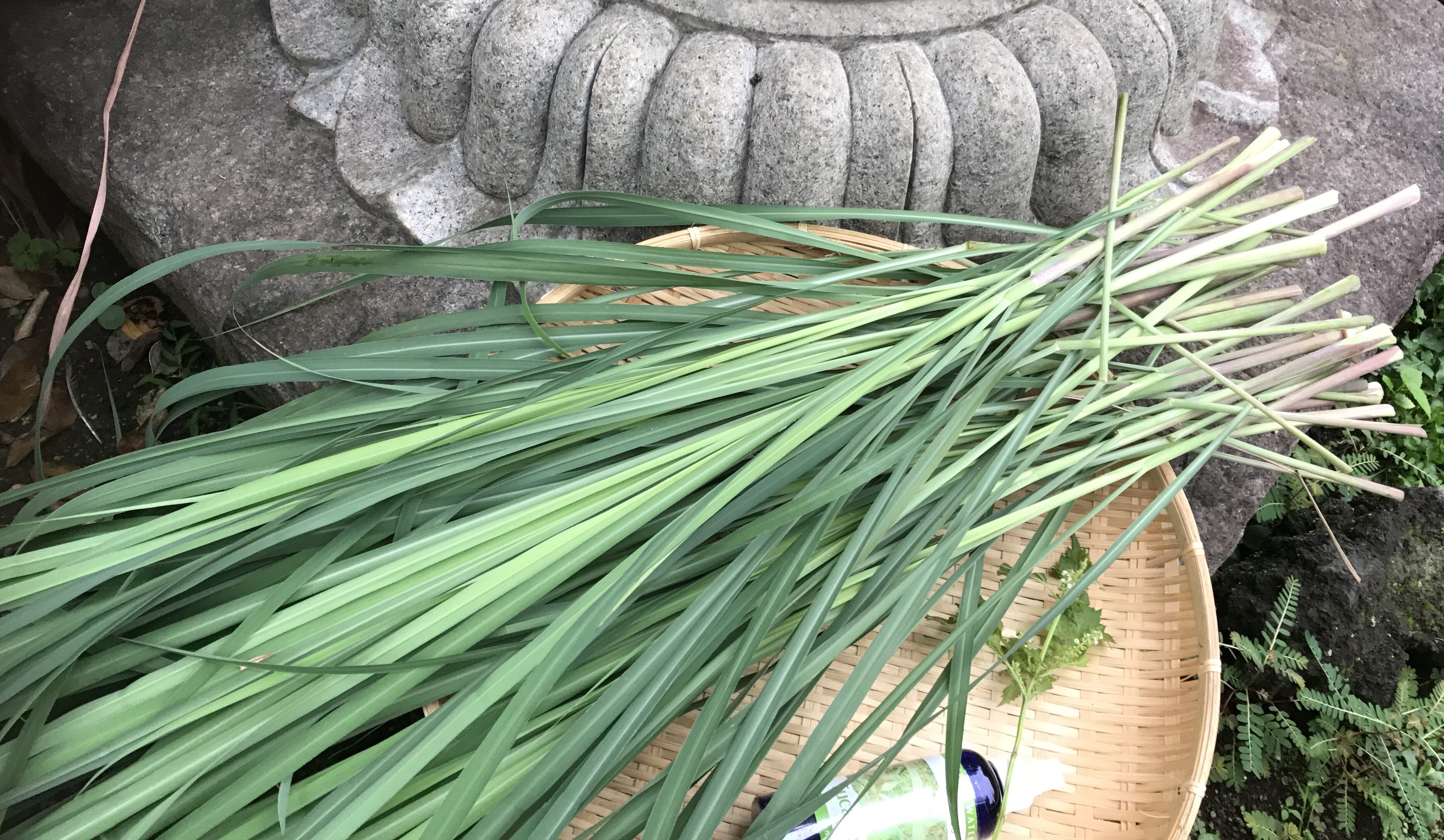 レモングラス