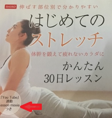 ダイソー本